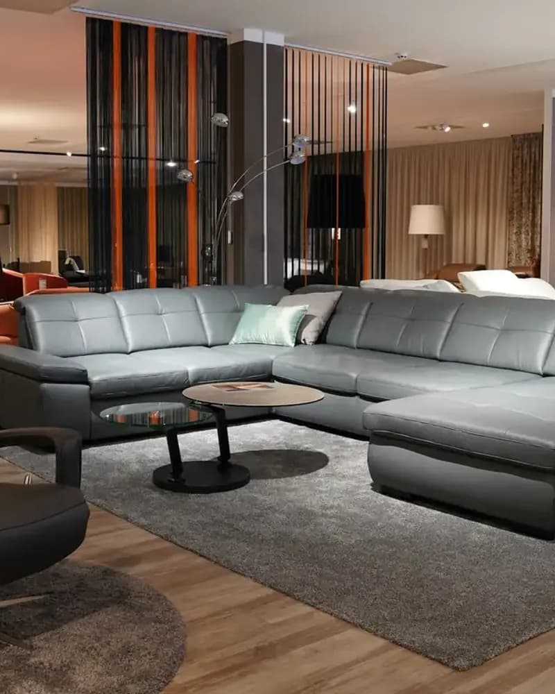 Types of Sofas and What Each Is For: Which Sofa Suits Your Home?