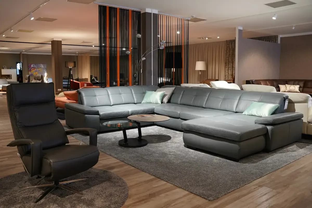 Types of Sofas and What Each Is For: Which Sofa Suits Your Home?
