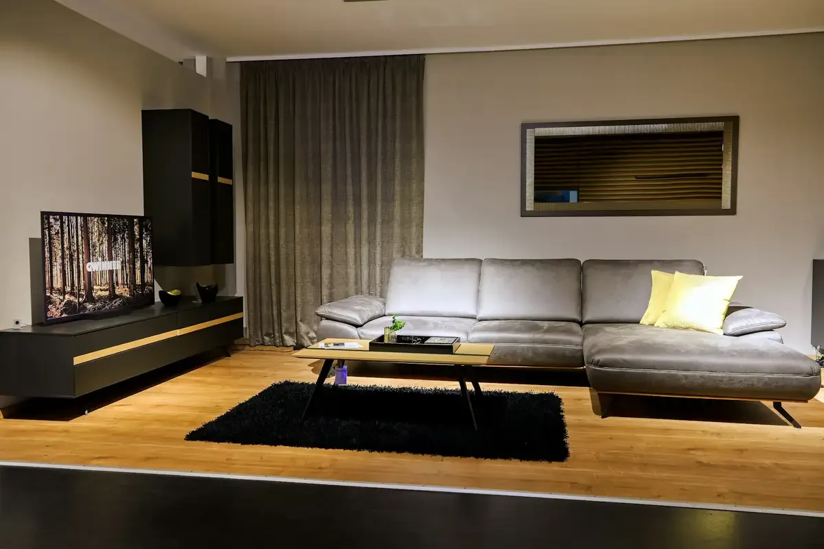 Types of Sofas and What Each Is For: Which Sofa Suits Your Home?